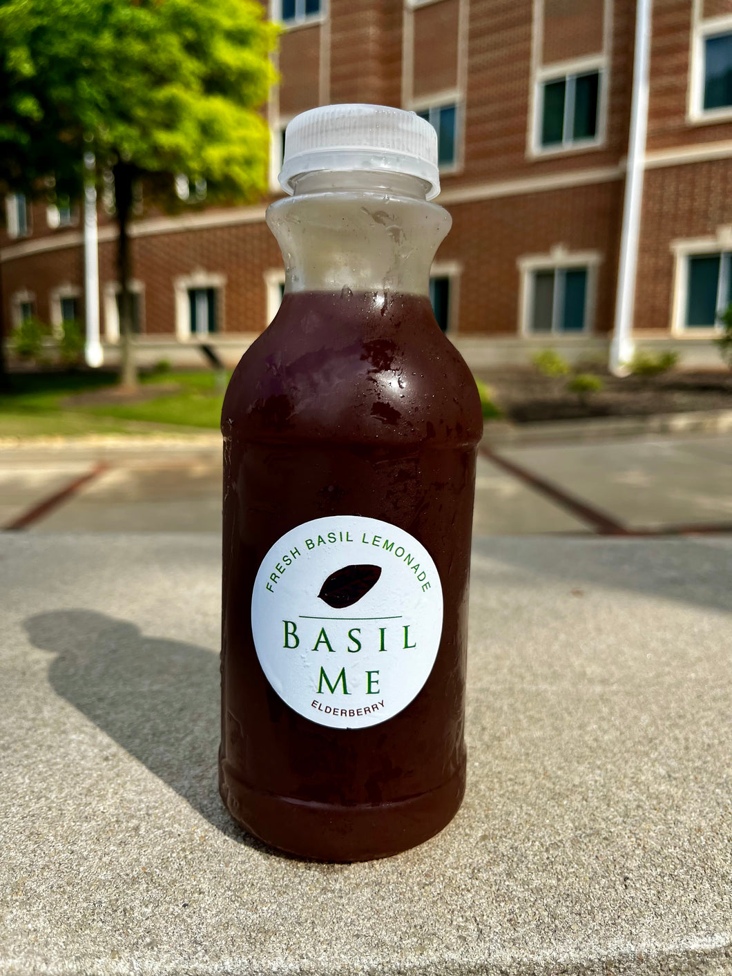 Elderberry Basil Lemonade Flavor (Case of 12)